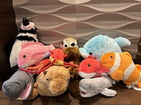 売店コーナーに海の仲間たちがやってきた🐟