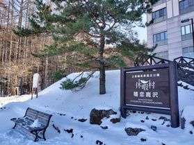 嬬恋鹿沢　⛄1月9日現在の雪情報⛄