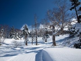 網張温泉スキー場インフォメーション