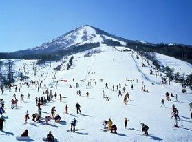 スキー場コンディションチェック!🎿