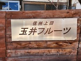 ドライフルーツ専門店 玉井フルーツ店