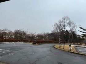 雪が降ったり雨が降ったり