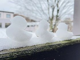 休暇村嬬恋鹿沢の冬...⛄(1月23日雪の様子)