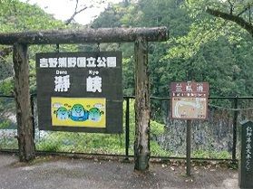 熊野の自然を満喫しよう!