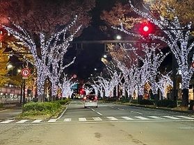 今月末まで見れます!けやき通りのイルミネーション