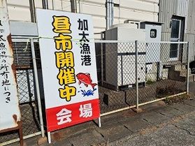 2月3日 加太の昼市 開催いたします