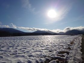２月５日現在　休暇村嬬恋鹿沢周辺の状況