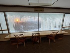 「TSURARA TERRACE」見頃です!