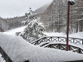 ⛄今年一番降ってるかも！？⛄
