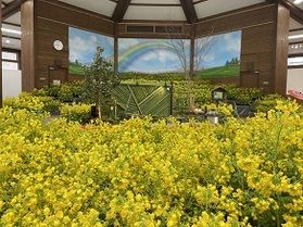 インドアガーデン ナノハナの庭【国営アルプスあづみの公園】