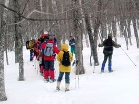 網張ビジターセンター3月のミニ企画
