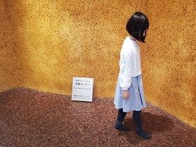 琥珀踏んでみる？