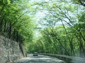 春の日光＆宇都宮