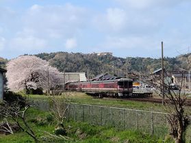 春のはしご旅で山陰旅行♪