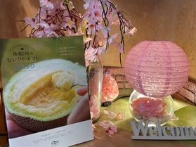 2024年春夏Qパックカタログ完成!