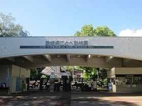 とべ動物園をお得に楽しもう!