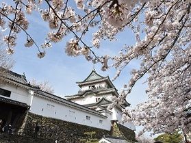 【桜開花情報】和歌山城の桜はただいま見頃です!