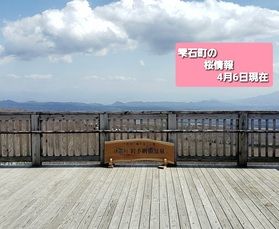 4月・桜は・・雫石・・・
