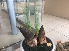 玄関前でお出迎え(^^)