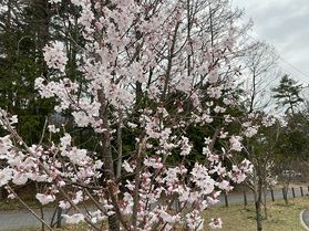 本日の安曇野