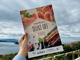 紀州加太Qパックパンフレット完成しました🍑