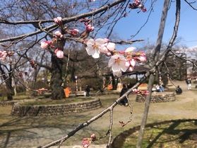 奥州市ドライブ・水沢公園