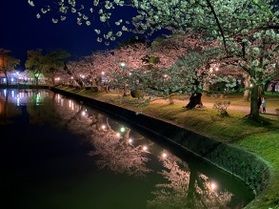 日本さくら名所100選<br>鶴岡公園の桜