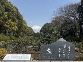 広見公園の可愛らしいお花たち