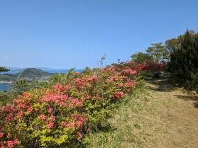 春の散歩道⑦