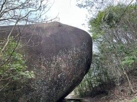 思わず「すごっ」とつぶやいてしまう、【星ヶ見公園】