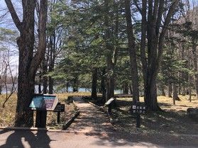 休暇村日光湯元の周辺を散歩しました。