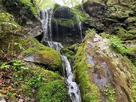 当館近くの小さな滝