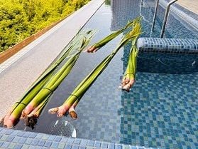 1日限定の菖蒲湯と、こどもに大人気の体験プログラムのご紹介!