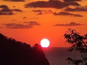 今!見頃です!
