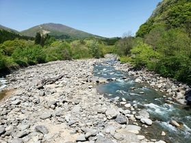 天気に誘われ森林浴ラッキー(^_^)v
