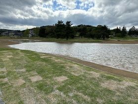 世界遺産巡り・無量光院跡