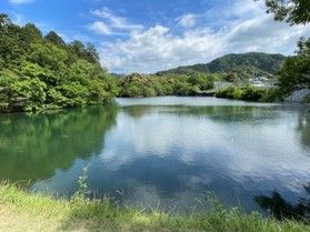 ため池百選「亀池」のある「亀池公園」のご紹介