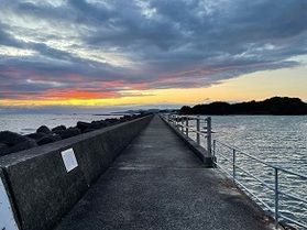カニくん歩きロード