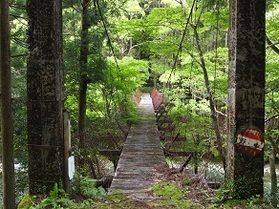 冒険気分でリフレッシュ! In古座川町