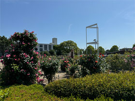 公園全体が華やかに彩られていました♪
