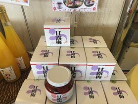 好評!「甘露梅」