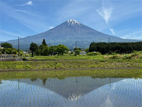 私のおすすめする富士山撮影スポット