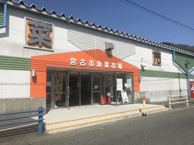 宮古市民の台所「魚菜市場」