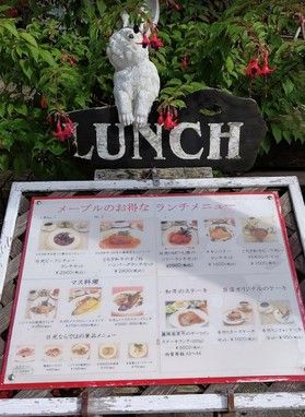レストランメープルで美味しい料理をいただきました。