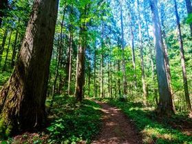 山と親しむ♪毛無山 山まつり