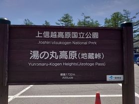 湯の丸高原のレンゲツツジ祭りは６月7日～！