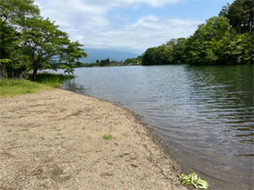 ホテル周辺の田貫湖畔散策 おすすめスポット!
