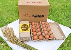 羽黒山の麓で育った美味わんぱく農場の「わんぱく卵」