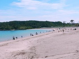 大島のこの時期からのおすすめ！