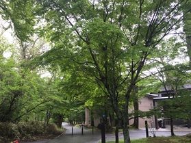 本日の奥日光／Today's Okunikko